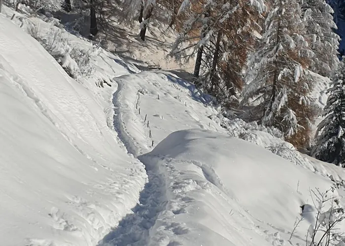 Bel Horizon דירה *