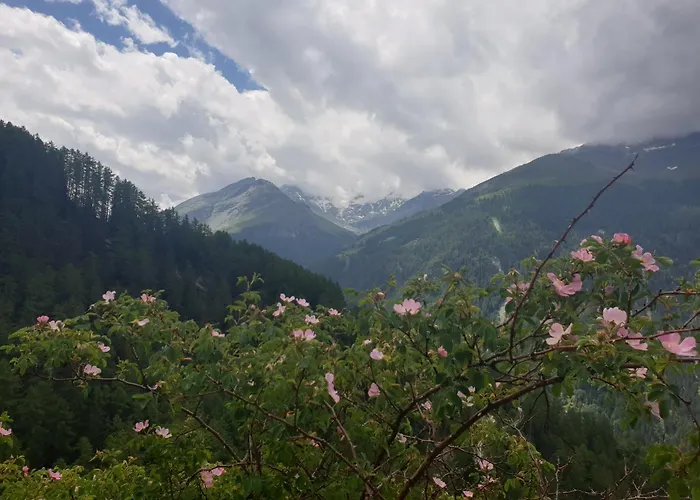 דירה Bel Horizon